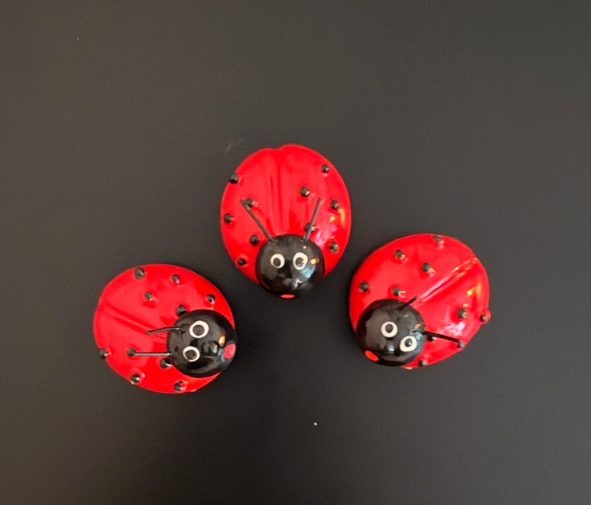 Cute Red Ladybug Fridge Magnet – Garden-Inspired Refrigerator and Kitchen Décor