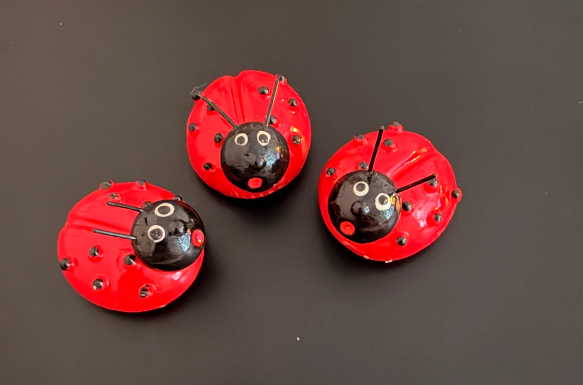 Cute Red Ladybug Fridge Magnet – Garden-Inspired Refrigerator and Kitchen Décor