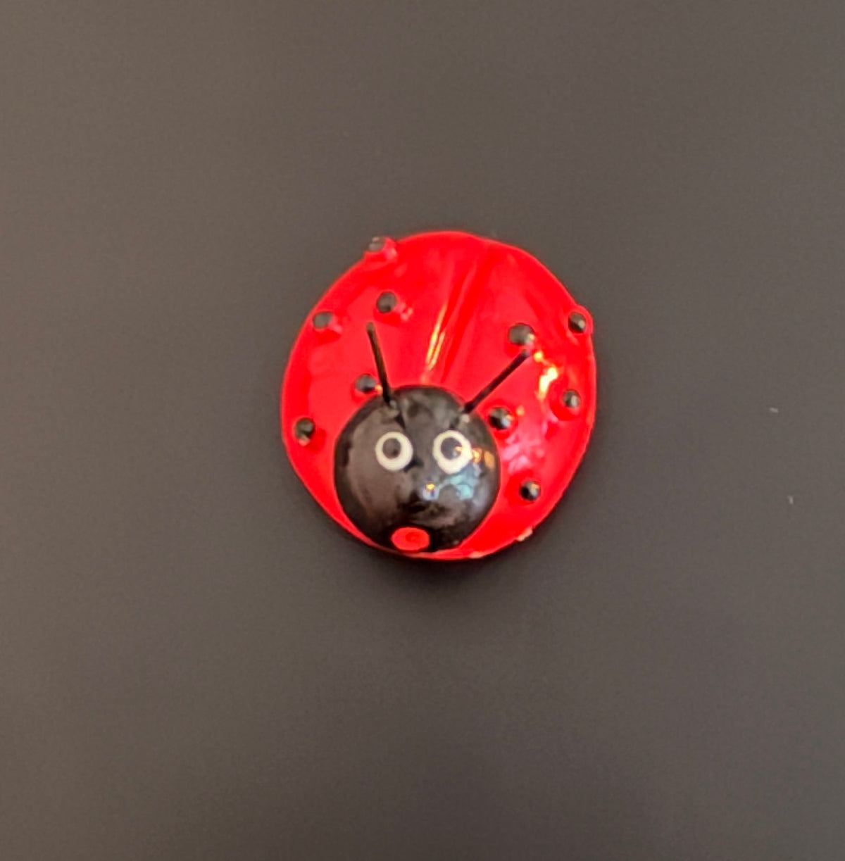 Cute Red Ladybug Fridge Magnet – Garden-Inspired Refrigerator and Kitchen Décor