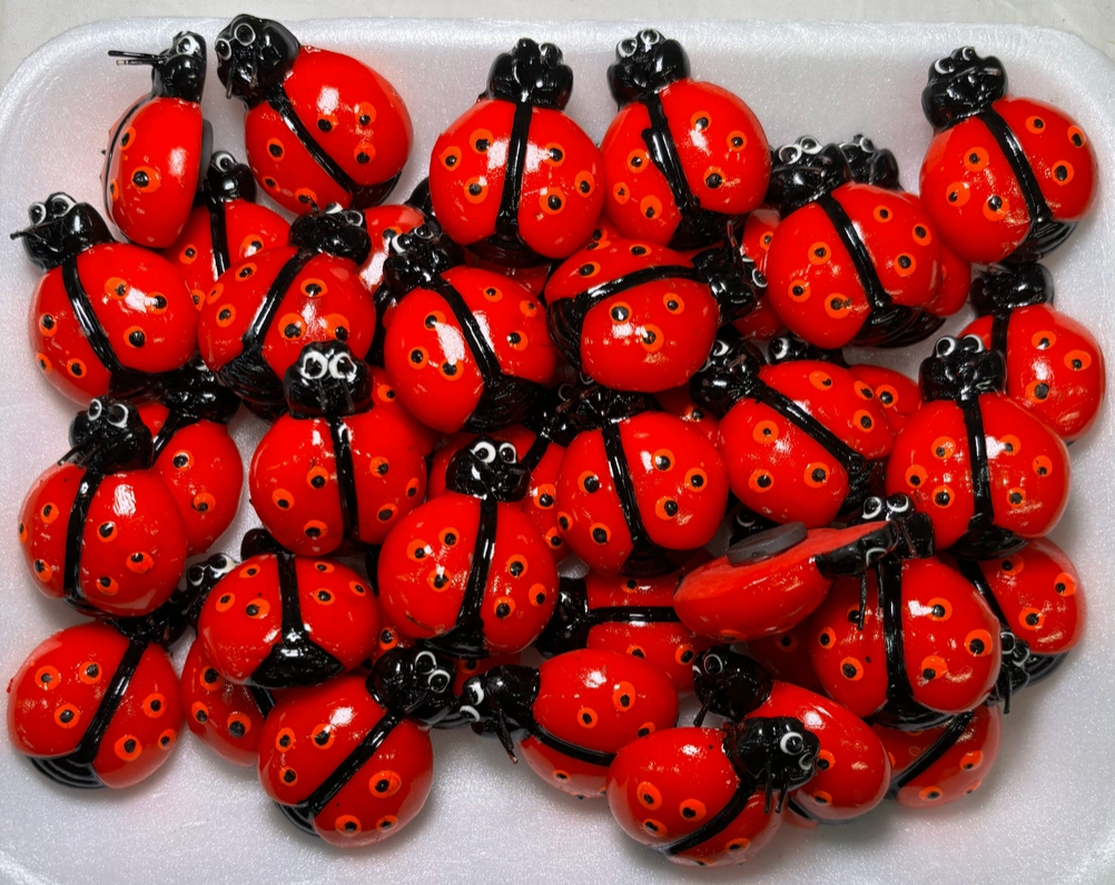 Cute Red Ladybug Fridge Magnet – Garden-Inspired Refrigerator and Kitchen Décor