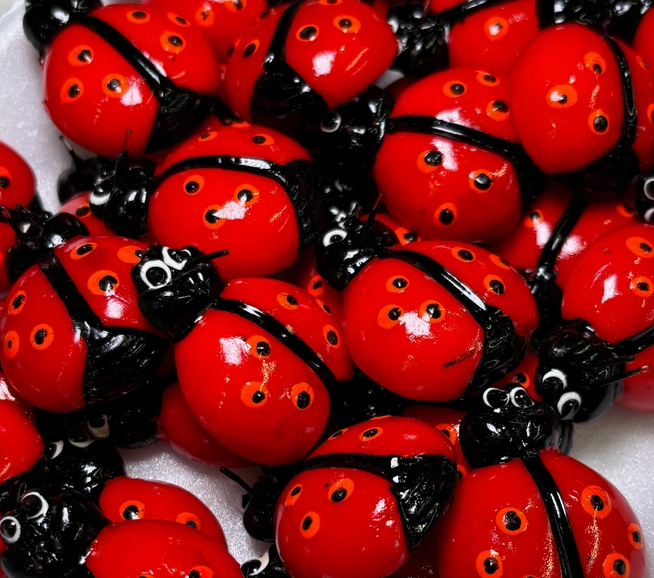 Cute Red Ladybug Fridge Magnet – Garden-Inspired Refrigerator and Kitchen Décor