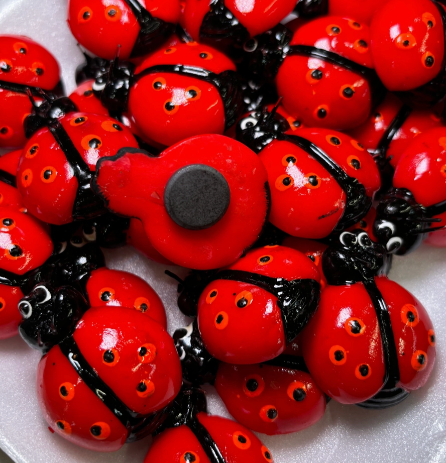 Cute Red Ladybug Fridge Magnet – Garden-Inspired Refrigerator and Kitchen Décor