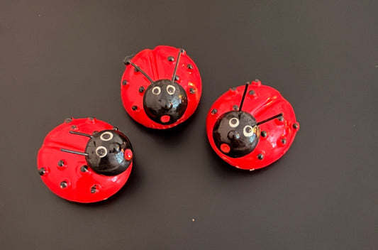 Cute Red Ladybug Fridge Magnet - Hiitzchrissy's Eclectic Fun Finds