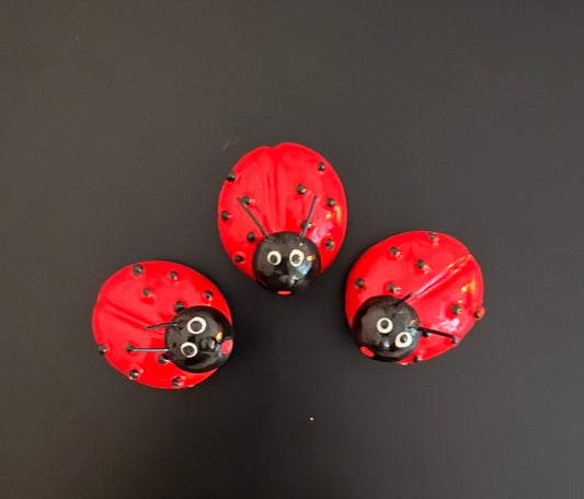 Cute Red Ladybug Fridge Magnet - Hiitzchrissy's Eclectic Fun Finds